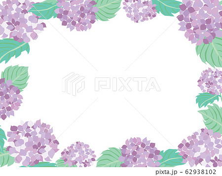 6月の紫の紫陽花のフレームイラストのイラスト素材