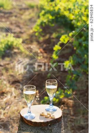 Two glasses of cold white wine on a wooden board a traditional Italian snack - Taralli on a bright sunny day in a vineyard in Salento, Apulia 62940834