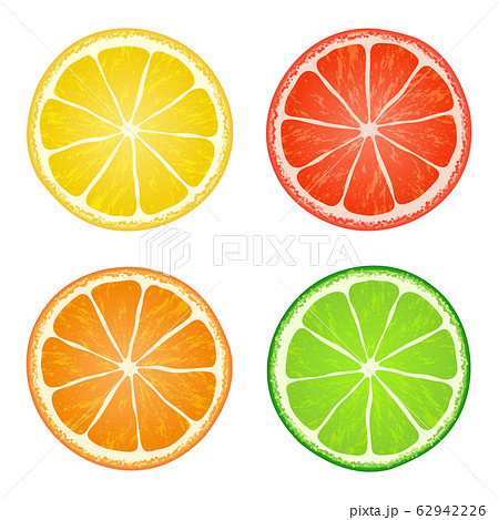 vector collection of citrus slices on white background 62942226