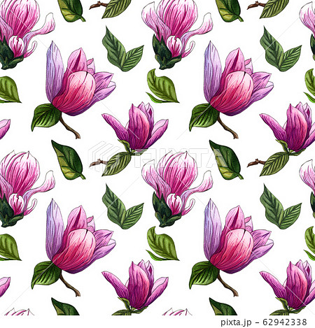Watercolor seamless pattern of pink Magnolia 62942338