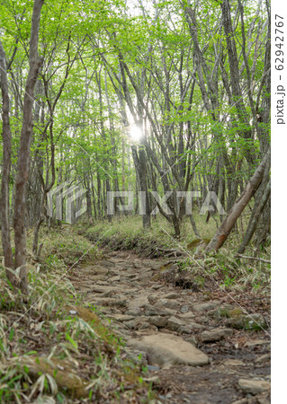 栃木県鹿沼市 横根高原 (5月) 栃木県鹿沼市 横根高原 (5月) 62942767