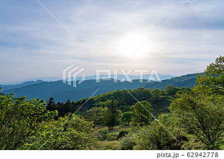 栃木県鹿沼市　前日光牧場　横根高原　（5月） 62942778