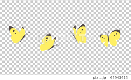 飛ぶ蝶 飛ぶ蝶 62943413