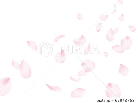 桜の花びら舞いおちるのイラスト素材