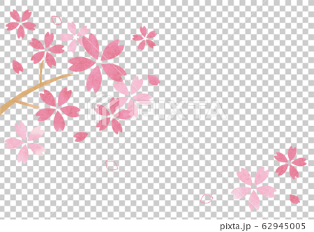 水彩風の桜イラスト 62945005