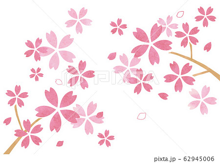 水彩風の桜イラスト 62945006