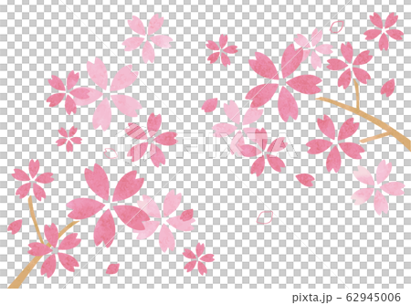 水彩風の桜イラスト 62945006
