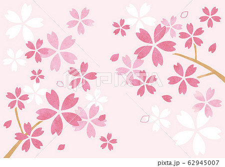 水彩風の桜イラスト 62945007