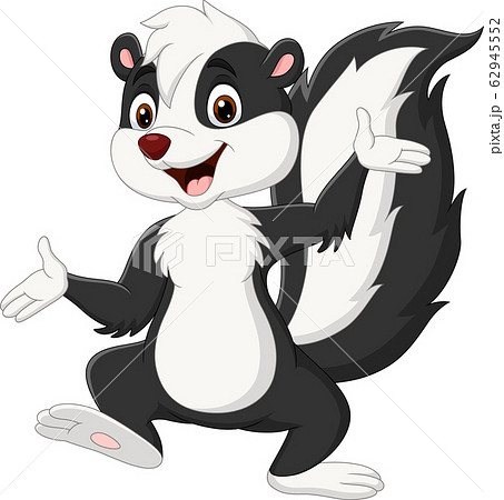 Cartoon skunk presenting on white background 62945552