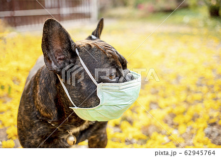 protect yourself from viruses please protect yourself from viruses please 62945764