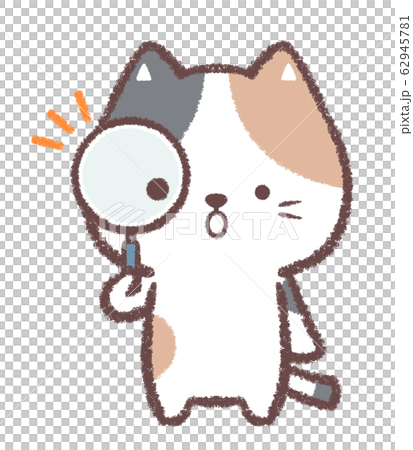 Magnifying glass calico cat 62945781