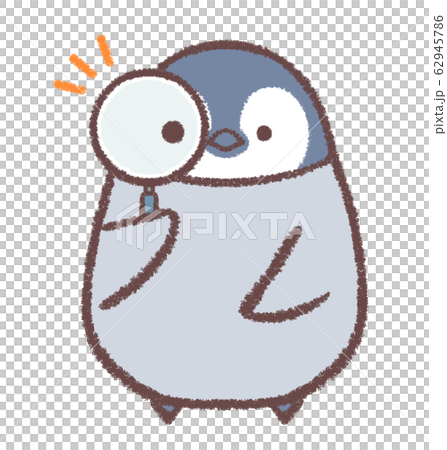 虫眼鏡ペンギンヒナ 虫眼鏡ペンギンヒナ 62945786