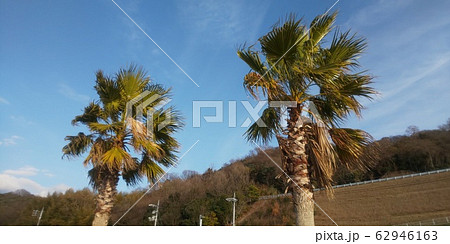 海沿いの強い風 62946163