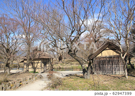 安曇野　早春賦 62947399