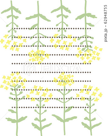 菜の花の便箋 62948755