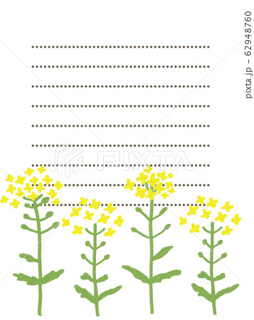菜の花の便箋 菜の花の便箋 62948760