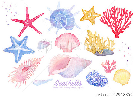 Seashells Clipart 水彩イラストセット 貝殻 珊瑚 ヒトデ のイラスト素材