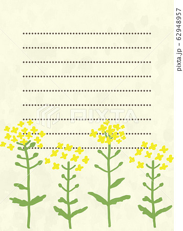 菜の花のお手紙フレーム黄色 62948957
