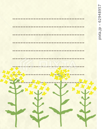 菜の花のお手紙フレーム黄色のイラスト素材