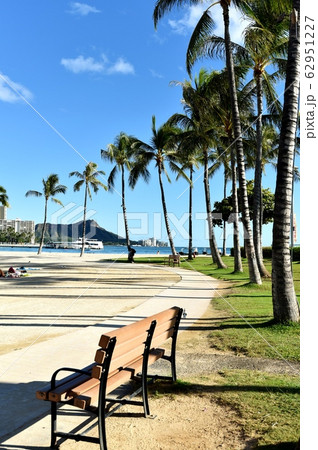 ハワイの休日 62951227