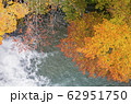 錦色 62951750