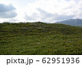 クローバーの丘 62951936