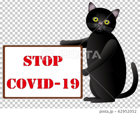 STOP　COVID　19 62952052