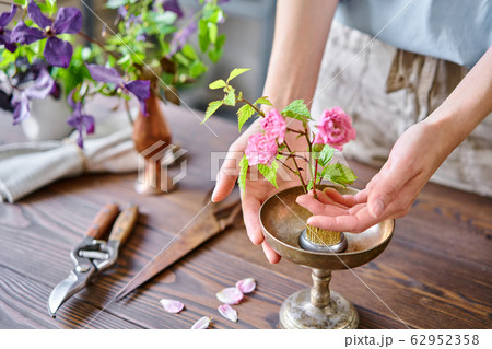 A young woman florist create flower arrangement Ikebana in kenzan. Uses scissors and pruner. Seasonal summer garden flowers. 62952358