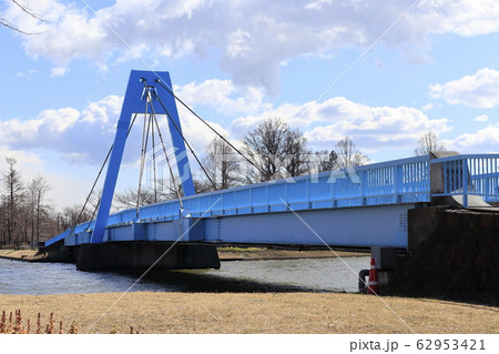 水元大橋　東京都葛飾区　水元公園 62953421
