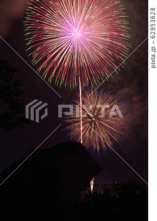 偕楽園花火の写真素材