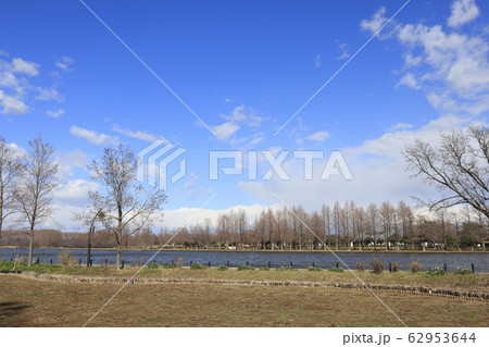 東京都葛飾区　水元公園 62953644