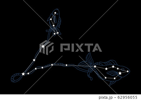 constellation12-魚座 62956055