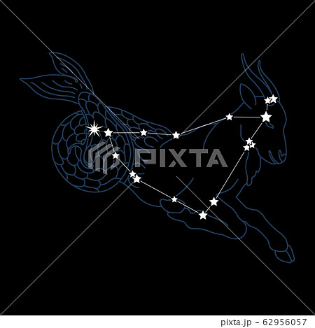 Constellation10 山羊座のイラスト素材