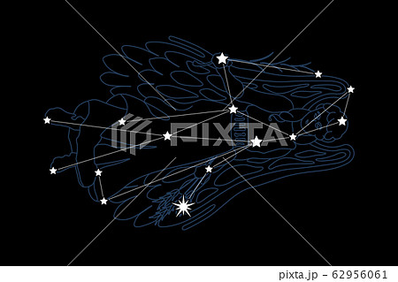 constellation6-乙女座のイラスト素材 [62956061] - PIXTA