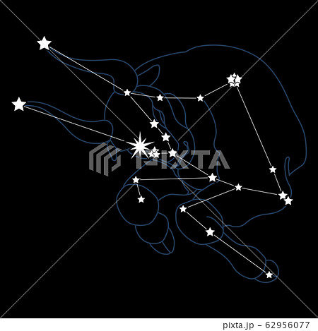 Constellation2 牡牛座のイラスト素材