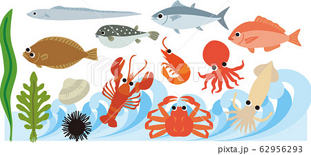 海中の魚介類 海中の魚介類 62956293