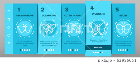 Butterfly Onboarding Icons Set Vector Butterfly Onboarding Icons Set Vector 62956651