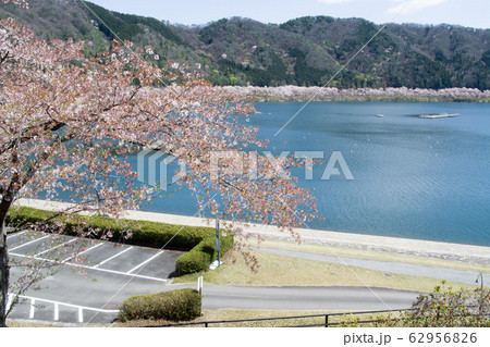桜咲くダム湖の景色 桜咲くダム湖の景色 62956826