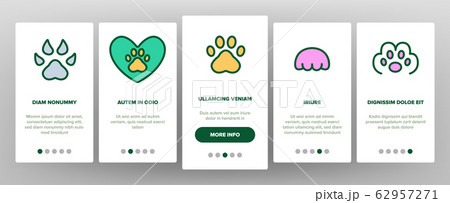 Paw Animal Onboarding Icons Set Vector Paw Animal Onboarding Icons Set Vector 62957271