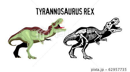 Tyrannosaur Rex Vector Illustration 62957735