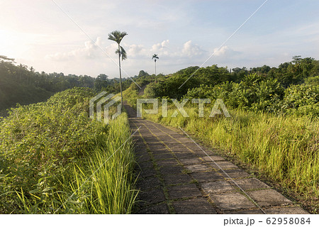 Road path on Campuhan Ridge Walk, Ubud Road path on Campuhan Ridge Walk, Ubud 62958084