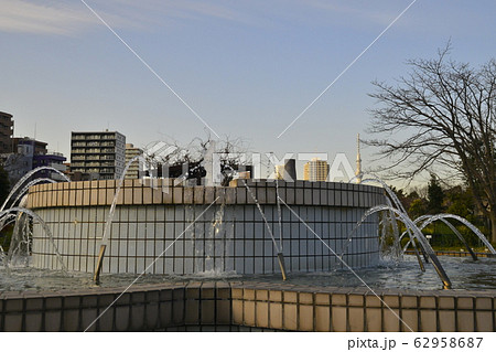 東京都立木場公園 都市緑化植物園 噴水 東京スカイツリーの写真素材