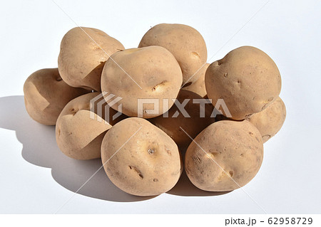 じゃがいも きたかむい の写真素材