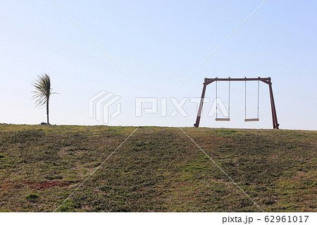 公園のブランコと風に耐える植物の風景 公園のブランコと風に耐える植物の風景 62961017