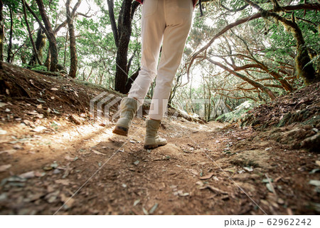 Woman trekking on the forest footpath Woman trekking on the forest footpath 62962242