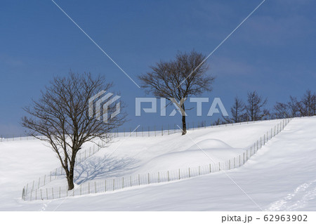 季節 大関嶺 雪景色 62963902