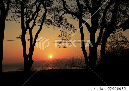 荒尾市 四ツ山神社 夕日、 荒尾市 四ツ山神社 夕日、 62966086