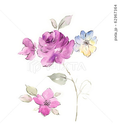 精致的水彩花卉,优雅的水墨花のイラスト素材 [62967364] - PIXTA