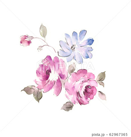 精致的水彩花卉,优雅的水墨花のイラスト素材 [62967365] - PIXTA