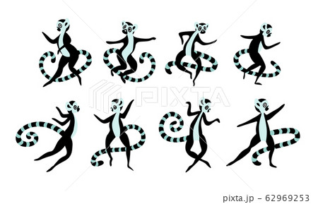 Big set of cute and funny lemurs. Simple drawn madagascar animals isolated on white background. Vector illustration. 62969253